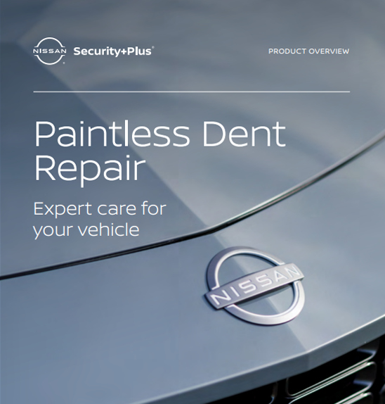 nsp_paintless_dent_repair
