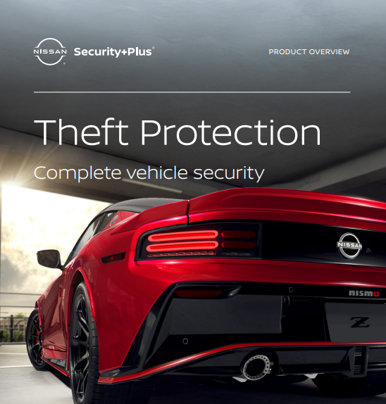 nsp_theft_protection